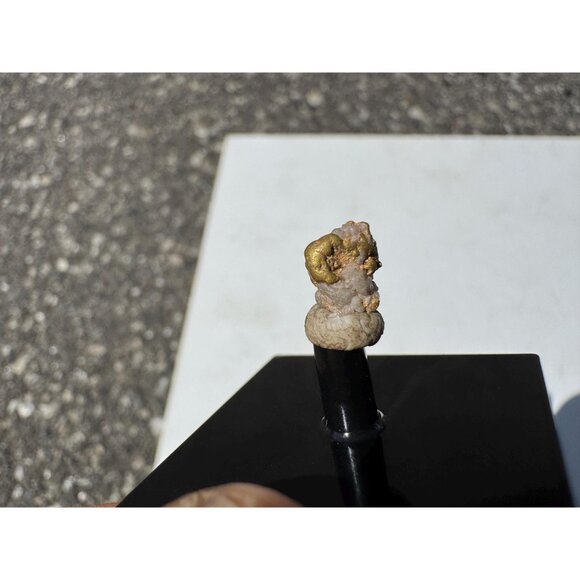 Gold on Quartz - Natural California Gold Specimen in Perky Display Box #2 - Picture 3 of 6